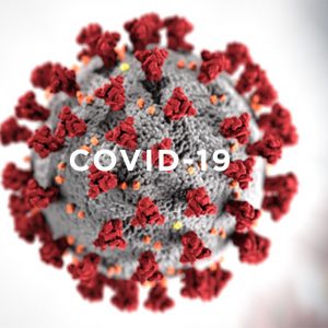 photo of the COVID-19 virus